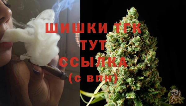 СК Абинск